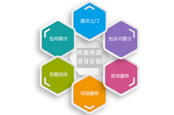 技术服务和外包